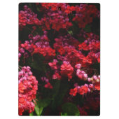 Pagode Blume farbenfroh rot und rosa Klemmbrett (Rückseite)