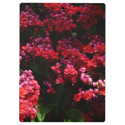 Pagode Blume farbenfroh rot und rosa Klemmbrett (Rückseite)