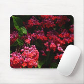 Pagode Blume farbenfroh rot und rosa Mousepad (Mit Mouse)