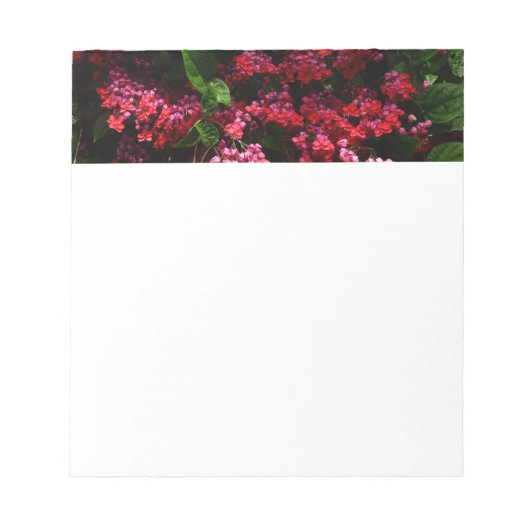 Pagode Blume farbenfroh rot und rosa Notizblock (Vorderseite)
