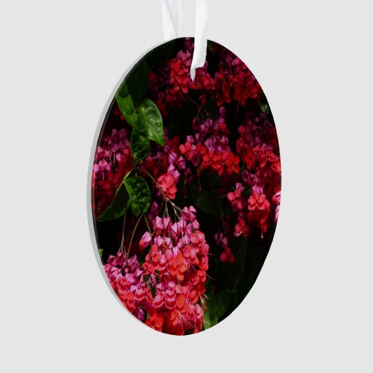 Pagode Blume farbenfroh rot und rosa Ornament (Vorderseite)