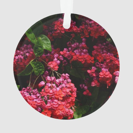 Pagode Blume farbenfroh rot und rosa Ornament (Rückseite)