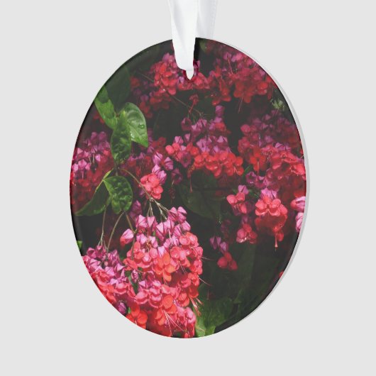 Pagode Blume farbenfroh rot und rosa Ornament (Vorderseite)