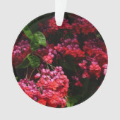 Pagode Blume farbenfroh rot und rosa Ornament (Vorderseite)