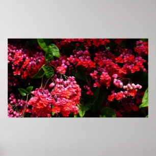 Pagode Blume farbenfroh rot und rosa Poster