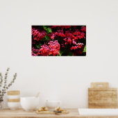 Pagode Blume farbenfroh rot und rosa Poster (Küche)