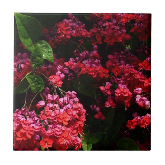 Pagodenblumen Bunt Rot und Rosa Fliese (Vorderseite)