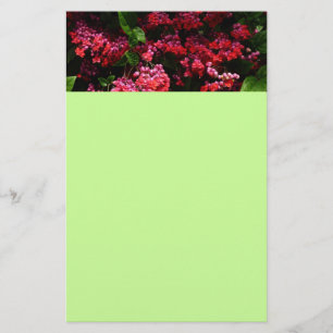 Pagodenblumen Farbige rote und rosa Töne Briefpapier
