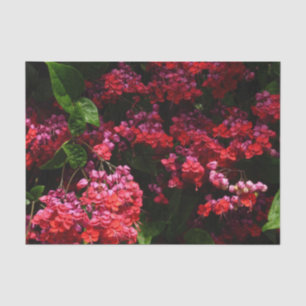 Pagodenblumen Farbige rote und rosa Töne Seidenpapier