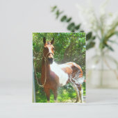 Paint Bath Postkarte (Stehend Vorderseite)