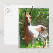 Paint Bath Postkarte (Vorne/Hinten)