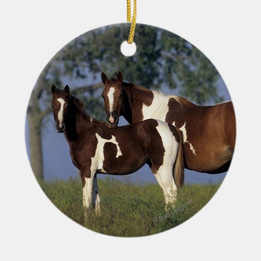 Paint HMare & Foal Keramik Ornament (Vorne)