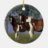 Paint HMare & Foal Keramik Ornament (Hinten)