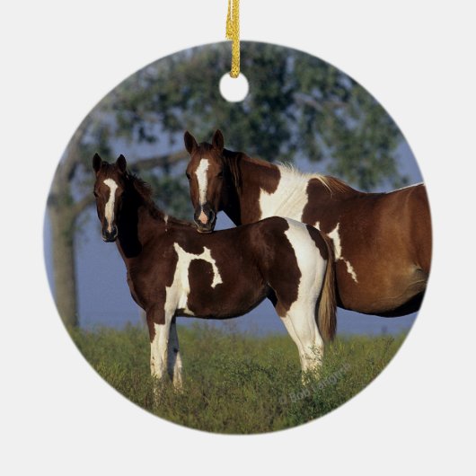 Paint HMare & Foal Keramik Ornament (Hinten)
