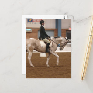 Paint Horse 134 auf einer Pferdeshow Postkarte