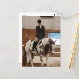 Paint Horse auf einer Pferdeshow Postkarte
