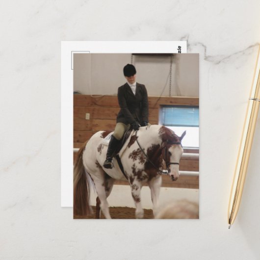 Paint Horse auf einer Pferdeshow Postkarte (Vorderseite/Rückseite Beispiel)