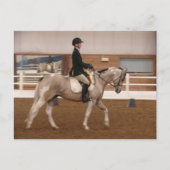 Paint Horse auf einer Pferdeshow Postkarte (Vorderseite)