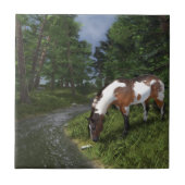 Paint Horse by Forest Stream Fliese (Vorderseite)