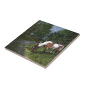 Paint Horse by Forest Stream Fliese (Seite)