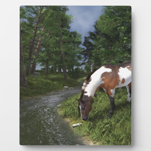 Paint Horse by Forest Stream Fotoplatte (Vorderseite)
