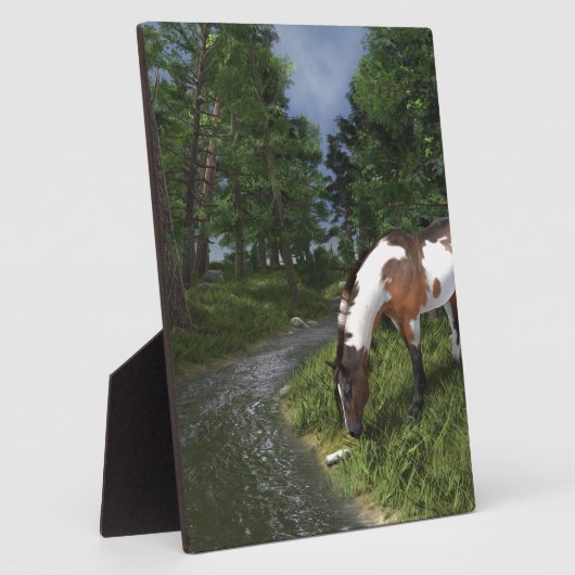 Paint Horse by Forest Stream Fotoplatte (Seite)