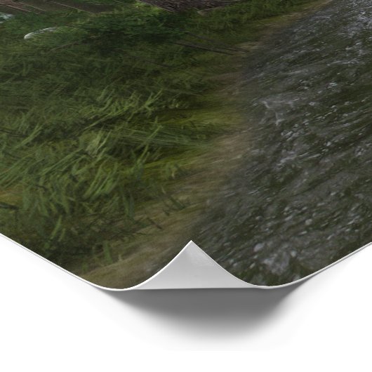 Paint Horse by Forest Stream Poster (Ecke)