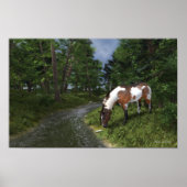Paint Horse by Forest Stream Poster (Vorne)