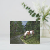 Paint Horse by Forest Stream Postkarte (Stehend Vorderseite)