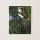 Paint Horse by Forest Stream Puzzle (Vertikal)