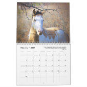 Paint Horse Calendar 2025 Tierfotografie Kalender (Feb 2027)