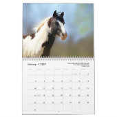 Paint Horse Calendar 2025 Tierfotografie Kalender (Jan 2027)