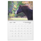 Paint Horse Calendar 2025 Tierfotografie Kalender (Mär 2027)