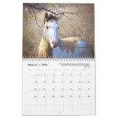 Paint Horse Calendar 2025 Tierfotografie Kalender (Feb 2026)