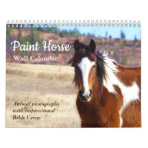 Paint Horse Calendar 2025 Tierfotografie