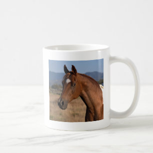 Paint Horse Coffee Tasse