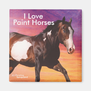 Paint Horse Galopp Sonnenaufgang Magnet