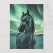 Paint Horse glühende Augen Nordlichter Postkarte (Vorderseite)