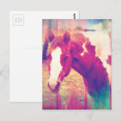 Paint Horse Grunge Postkarte (Vorne/Hinten)