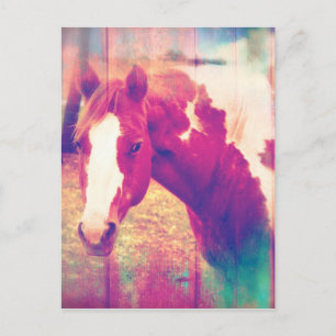 Paint Horse Grunge Postkarte