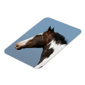 Paint Horse Headshot 1 Magnet (Linke Seite)