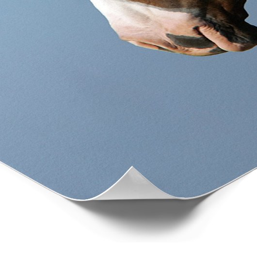 Paint Horse Headshot 1 Poster (Ecke)