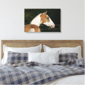 Paint Horse Headshot 2 Leinwanddruck (Insitu (Schlafzimmer))
