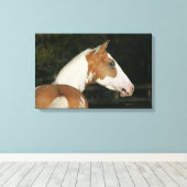 Paint Horse Headshot 2 Leinwanddruck (Insitu (Holzboden))