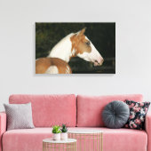 Paint Horse Headshot 2 Leinwanddruck (Insitu (Wohnzimmer))