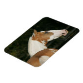 Paint Horse Headshot 2 Magnet (Linke Seite)