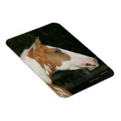 Paint Horse Headshot 2 Magnet (Rechte Seite)