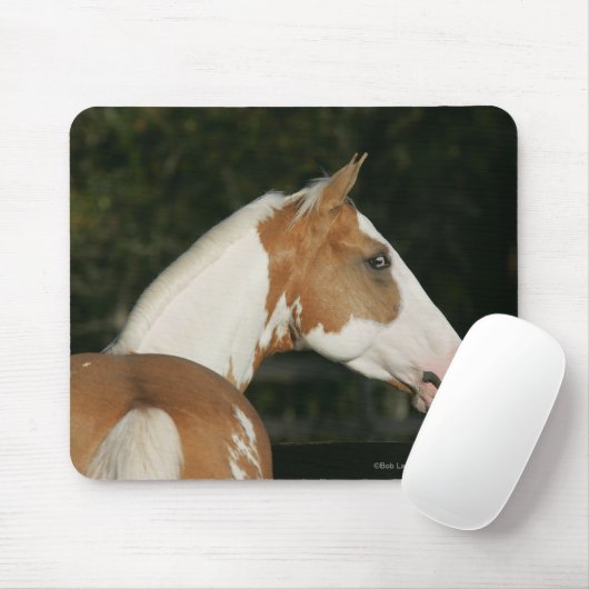 Paint Horse Headshot 2 Mousepad (Mit Mouse)