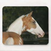 Paint Horse Headshot 2 Mousepad (Vorne)