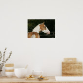 Paint Horse Headshot 2 Poster (Küche)